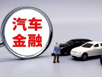 无棣押车贷款不是本人可以么?